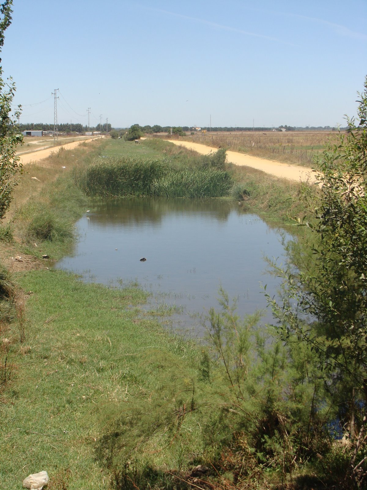 [DSC03214.JPG]