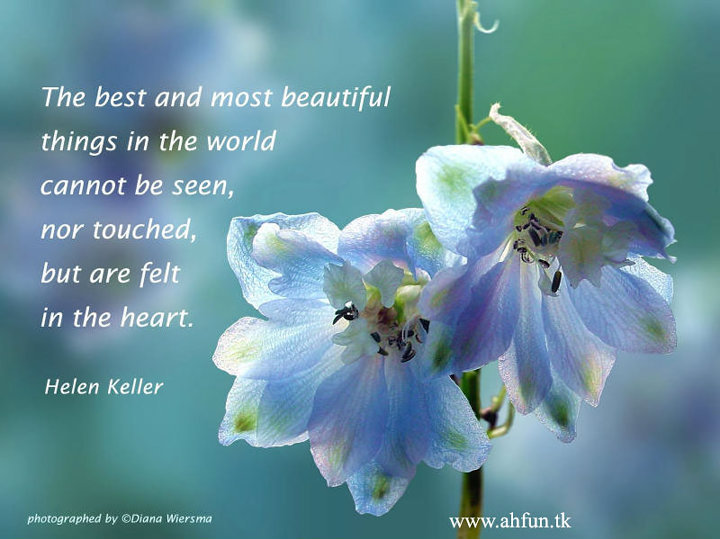 seasonsali You can be the happiest woman in the world