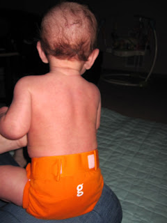 Cloth Diapering - Page 2 Dipe+009