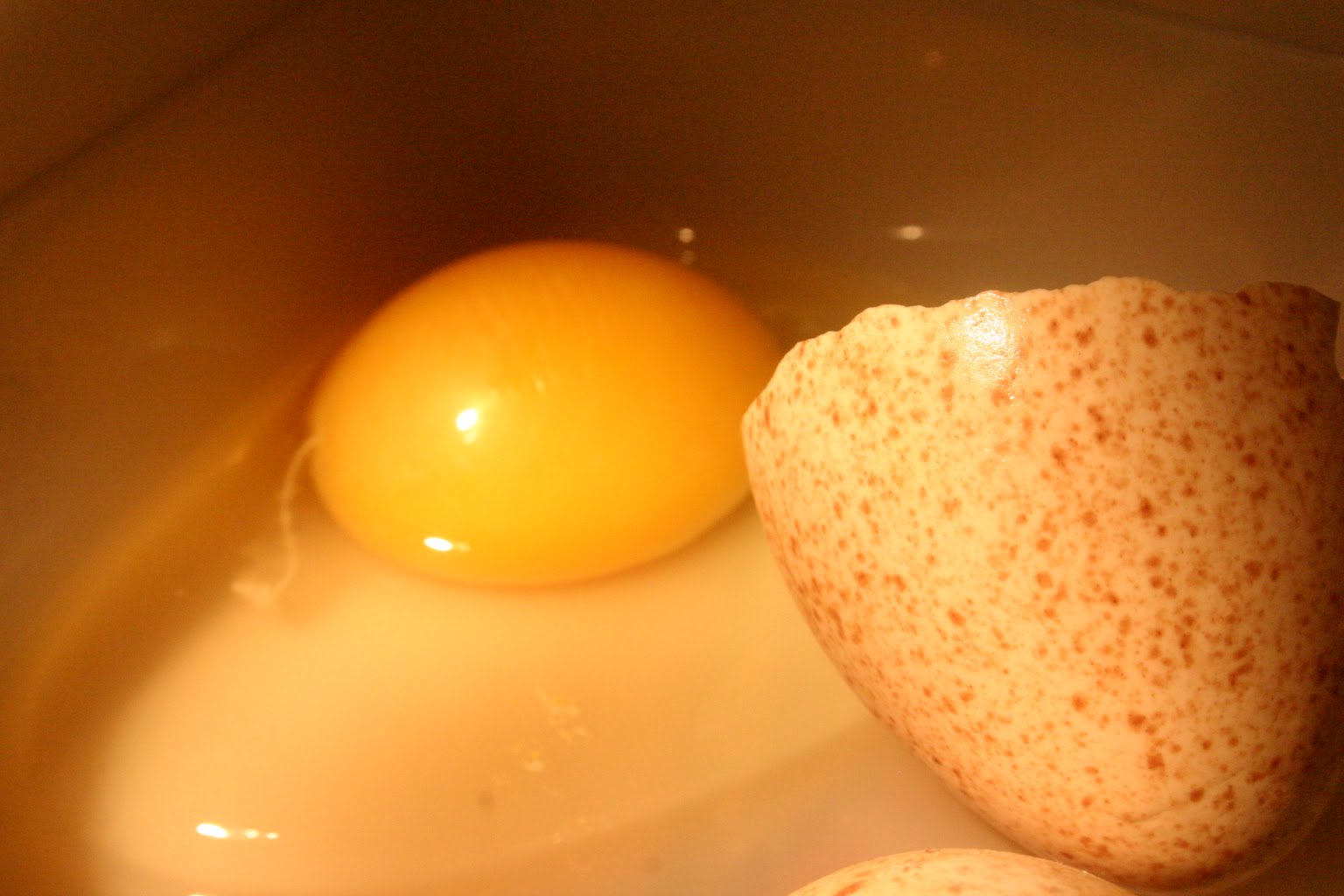 [IMG_9552.JPG]