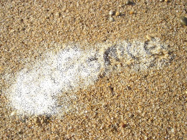 [Quando+nos+apetece+apagar+tudo.JPG]