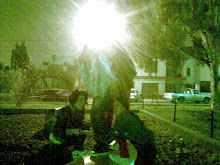 anto -cyn- mica (L)