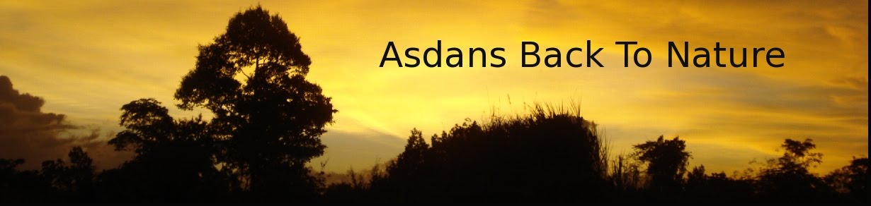 Asdans back To Nature