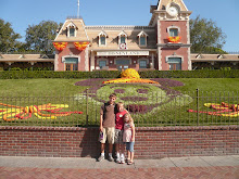 Disneyland 2009
