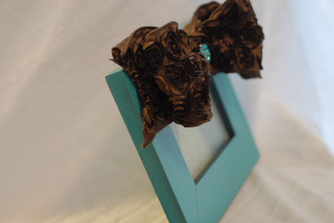 My new turquoise and chocolate picture frame