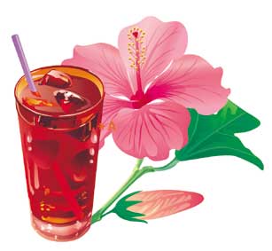 [061222-hibiscus_karkade.jpg]