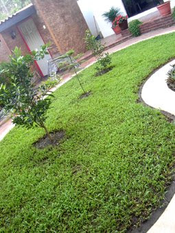 jardin virtual blogger