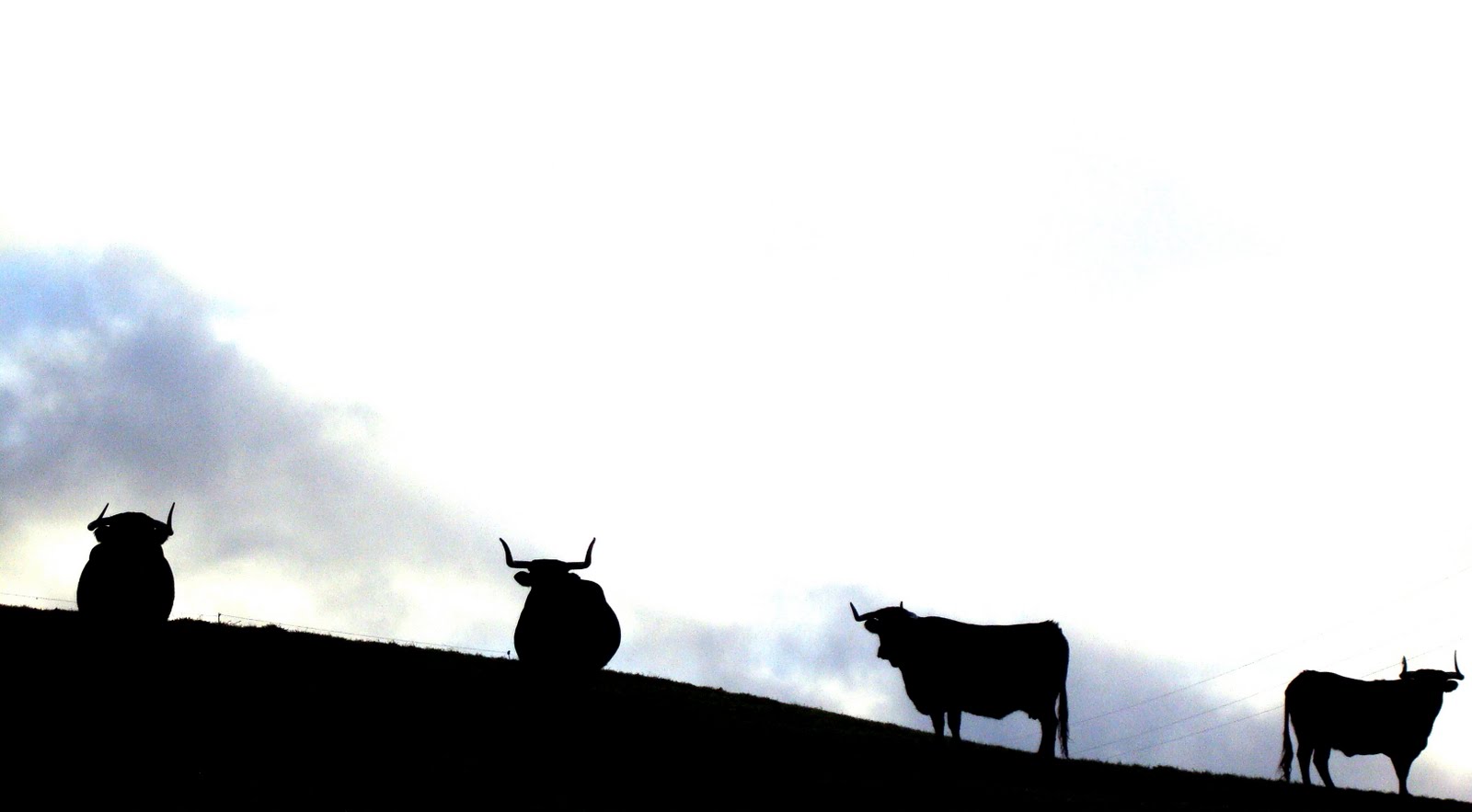 [DSC07201-1.JPG]