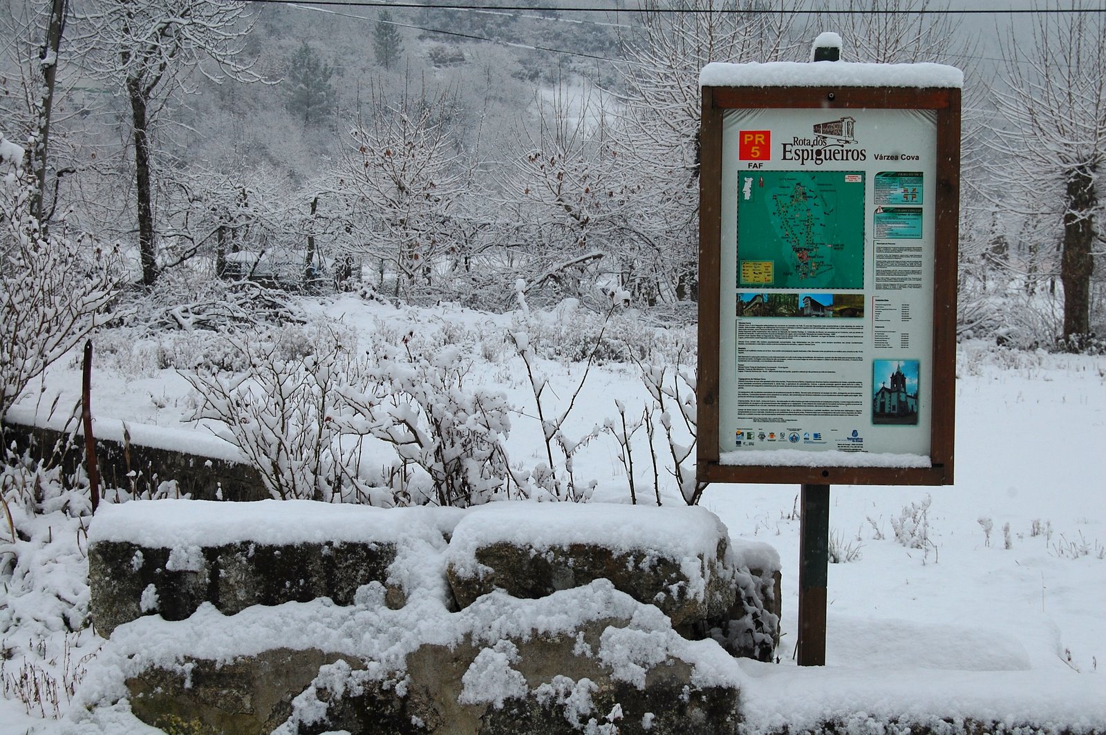 [DSC_0378.JPG]