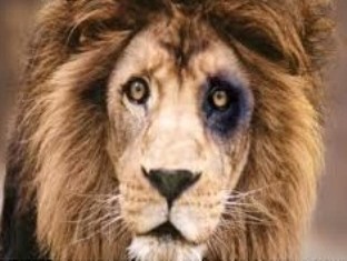 ÐоÑ
ожее изобÑажение