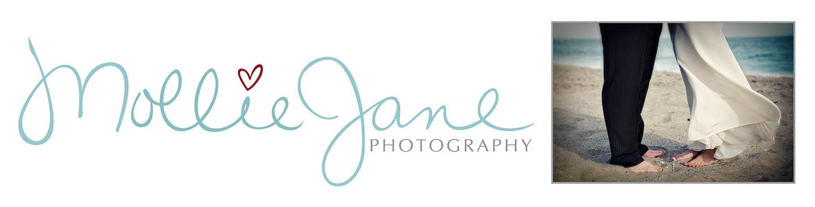 The Mollie Jane Blog