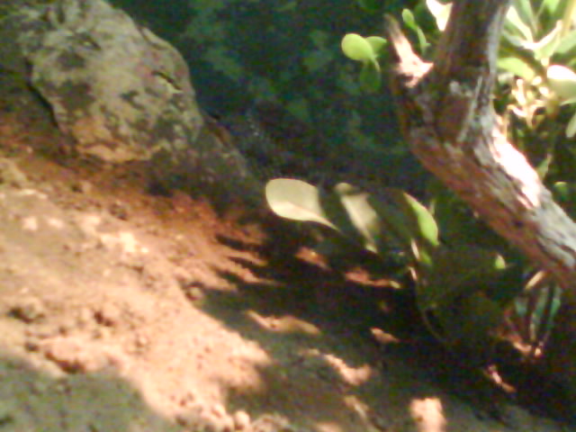 [DSC06167.JPG]