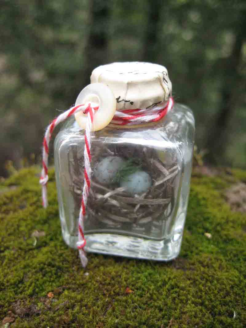 [_saltshaker-nest-bottle.jpg]
