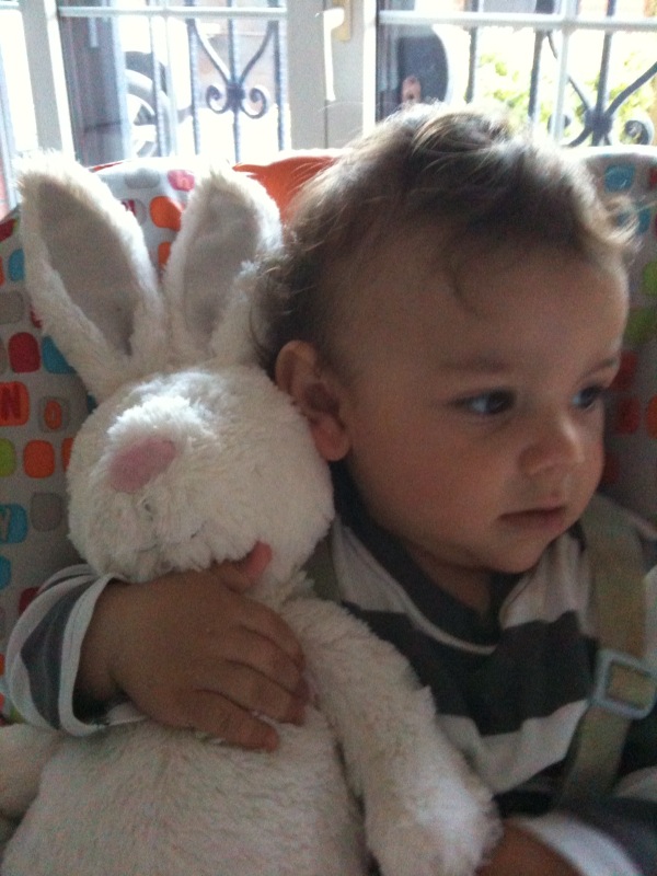 kuzu kulak can halleri tata askina