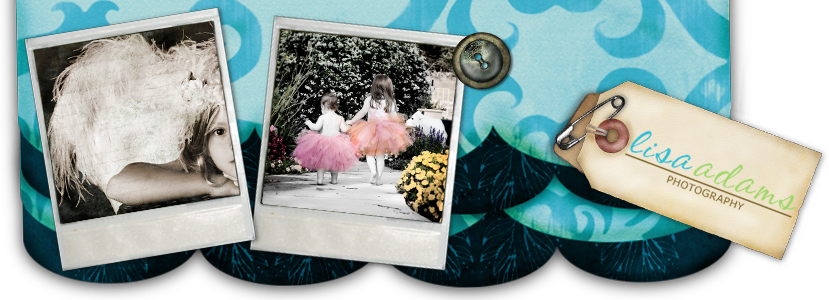 Lisa Adams Photography Blog