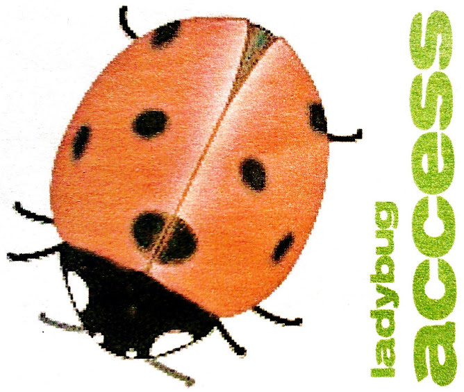 ACCESS ladybug