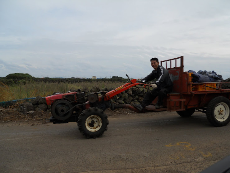 Farming on JeJu & throughout Asia