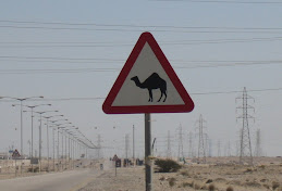 Camel Crossing Sign