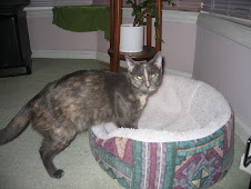 Cleo (Skunky renamed Cleo)