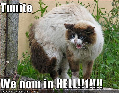 funny-pictures-scary-cat-noms-in-hell.jpg