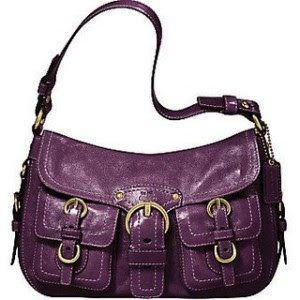Plum Bag