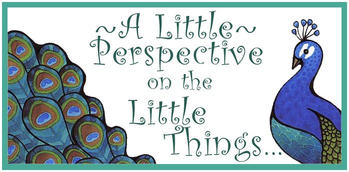 A Little Perspective on the Little Things...