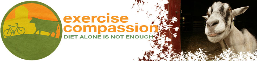 exercise compassion