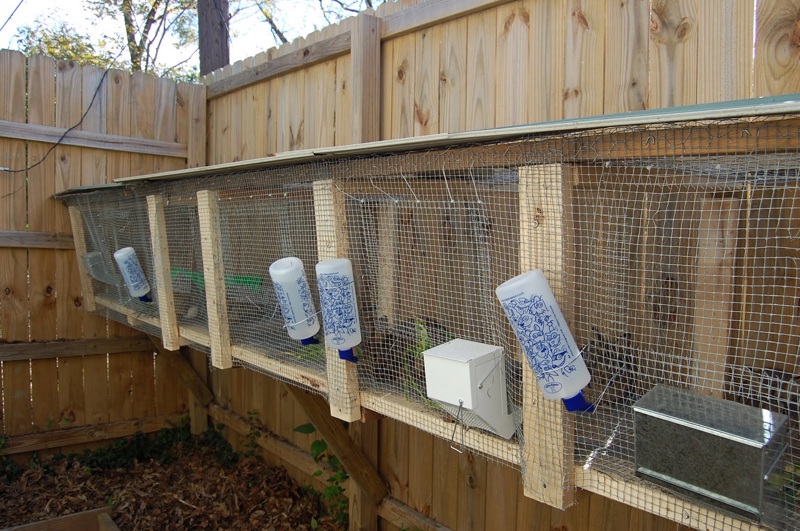 Urban SelfSufficientist Urban Rabbit Farming