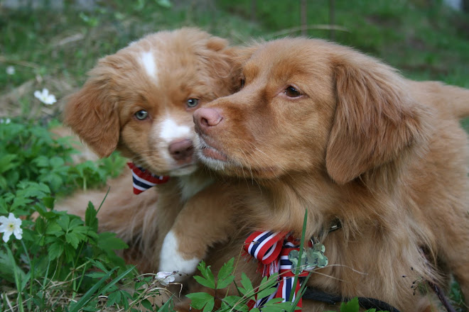 Livet med Zæcar & Zara