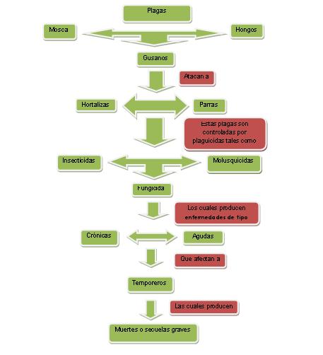 mapa conceptual