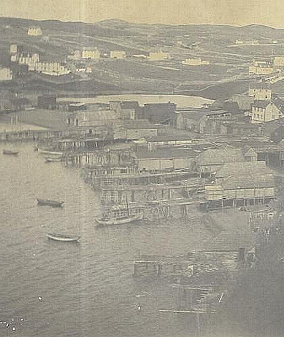 ENGLISH HARBOUR HERITAGE SOCIETY TRINITY BAY NL.