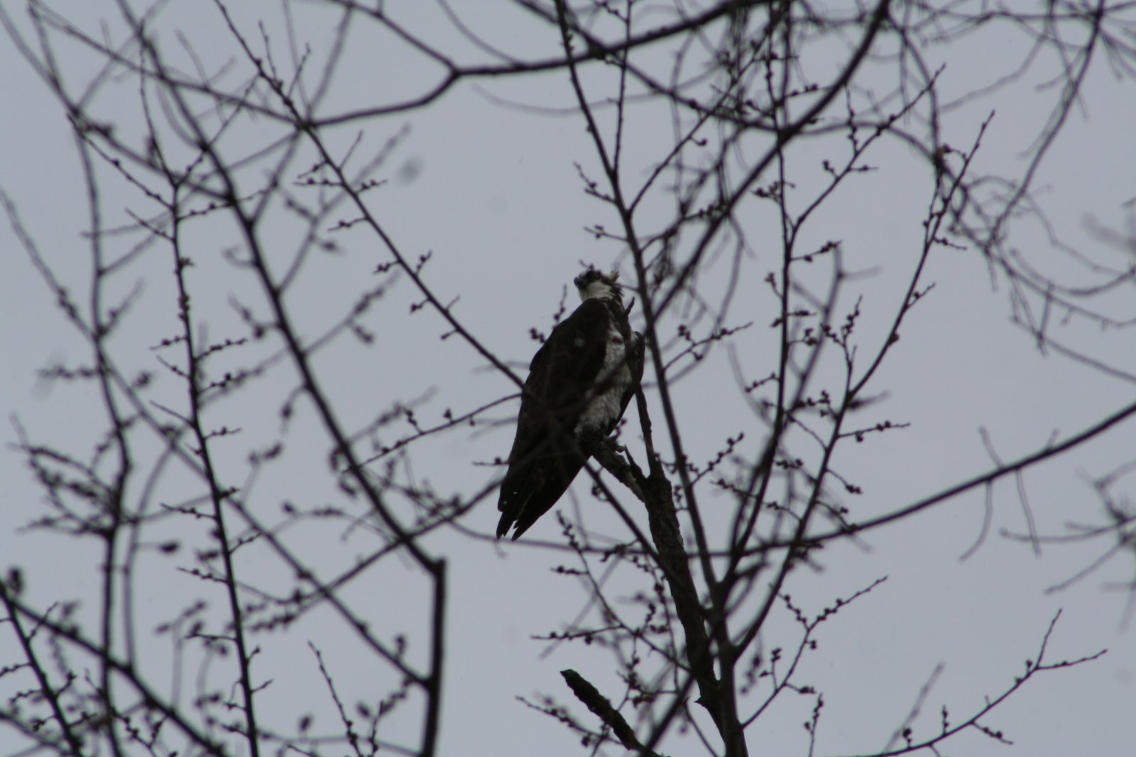 [IMG_0310.JPG]