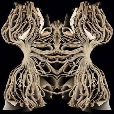 Cara Barer Biography