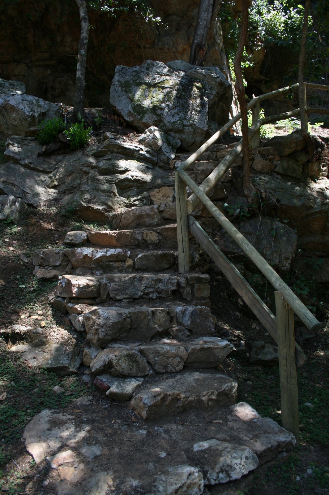 [IMG_1580.JPG]