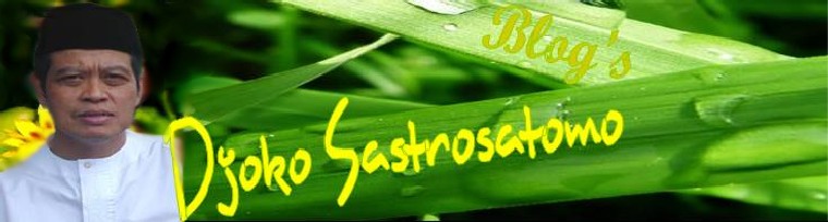Djoko Sastrosatomo Blog's