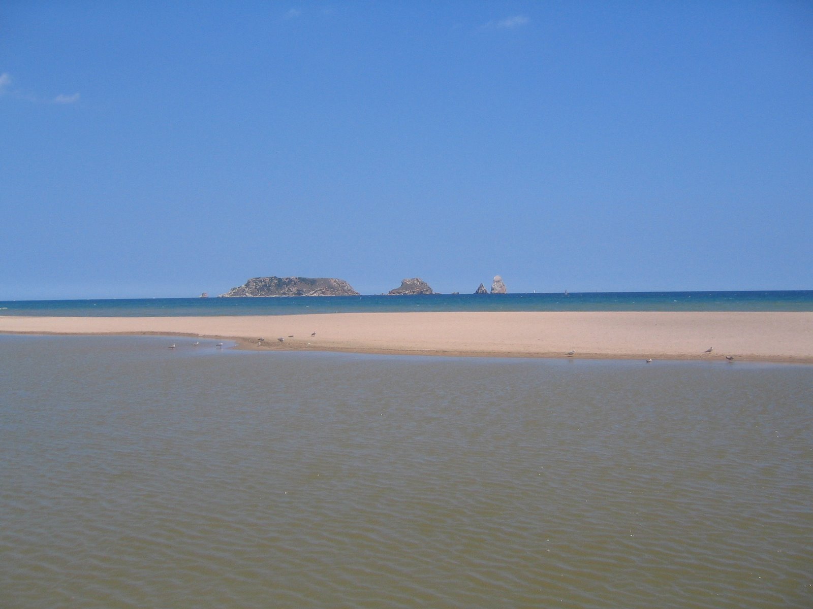 [IMG_0668.JPG]