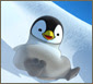 pigloo penguin