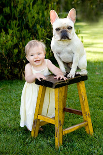 Jessica Davis Photography