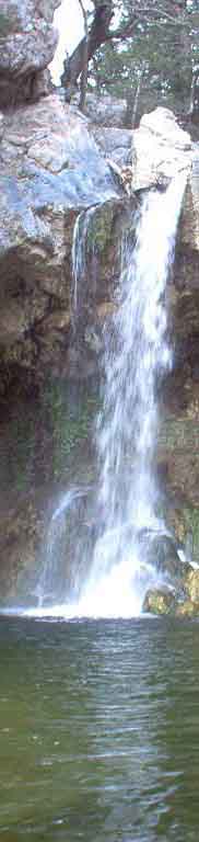 ΕΛΛΗΝΙΚΗ ΦΥΣΗ