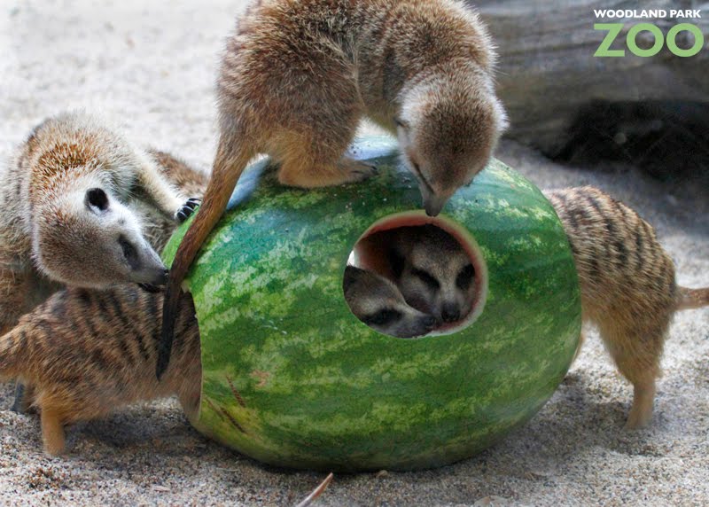 African Female Names