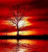 http://2.bp.blogspot.com/_aOFZ5IHhy1c/TJyIDYZipRI/AAAAAAAAADI/aJ7YglRCzwQ/s1600/reflection+tree.bmp