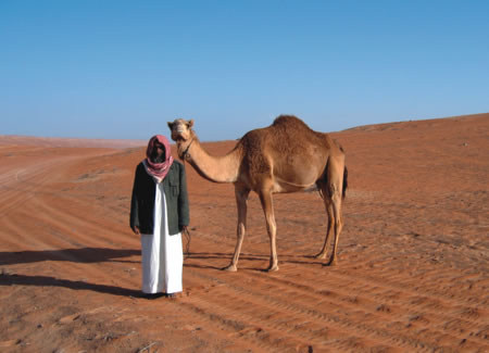 Camels in Desert – Amazing Photos – Part B