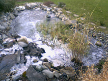 View of our pond, Jan. 25