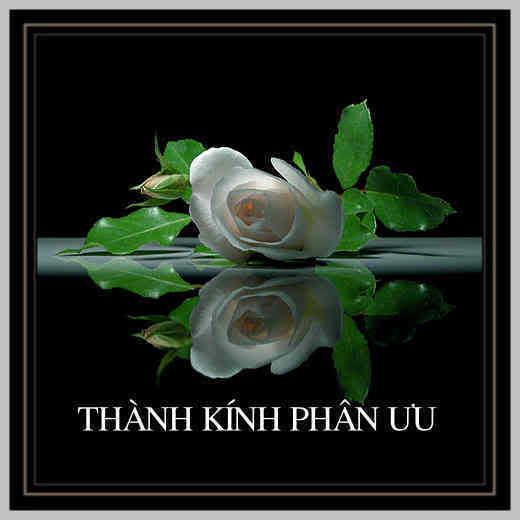 [thanhkinhphanuu.jpg]