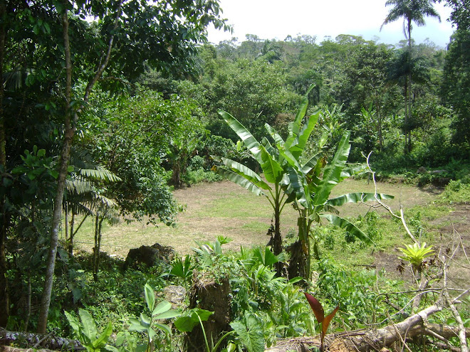 Cancha de indor y volly en la Comunidad de  Matiri