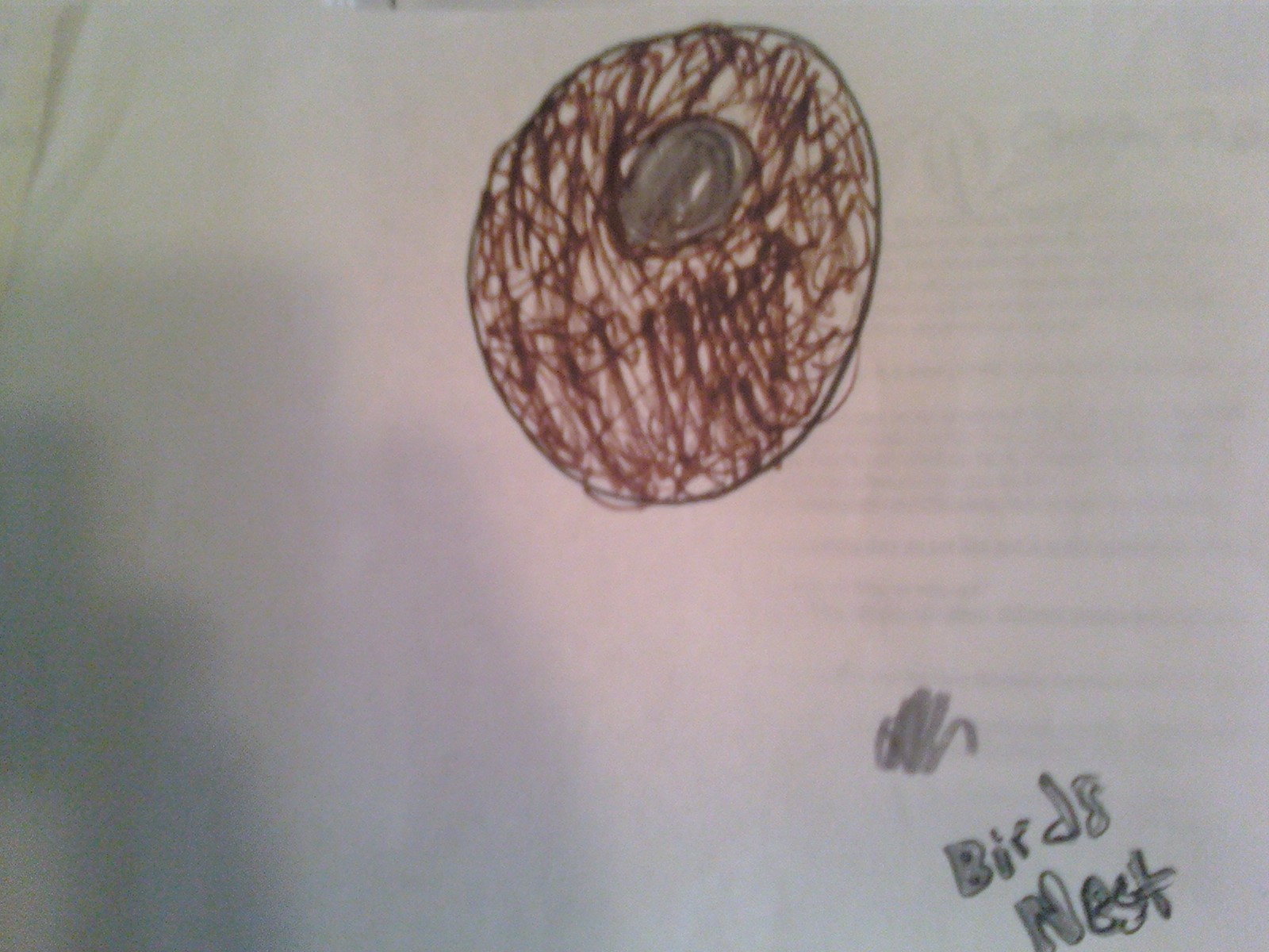 (Not Your Typical) Bird Nest Drawing Reflections from One of 6 of