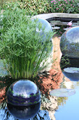 Water Globes