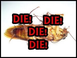 [dead-cockroach.jpg]