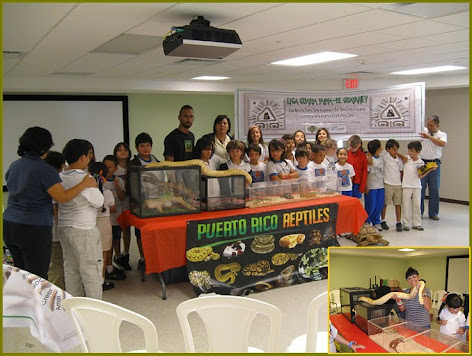 Exhibición de  Animales  Exóticos -  Palmas  Academy