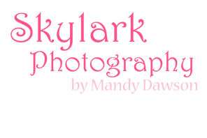 Skylark Photography